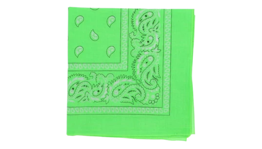 Neon Cotton Paisley Bandana 22" - Green