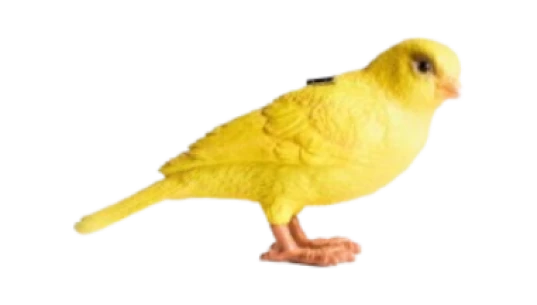 Canary Clutch in Yellow