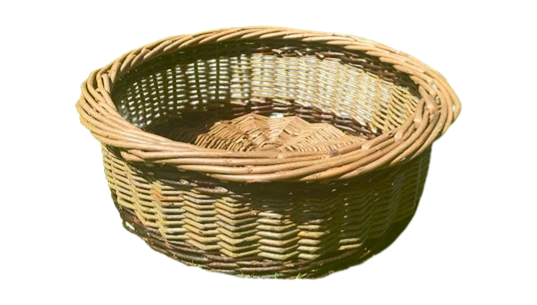 Sciob/Cisog – Large