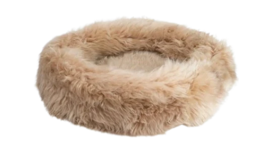 Irish Sheep Wool Dog Bed - Champagne