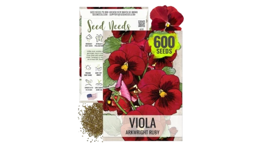 Arkwright Ruby Viola Seeds - 600 Heirloom Seeds for Planting