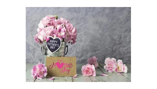 Mother's Day Backdrops Pink Carnation