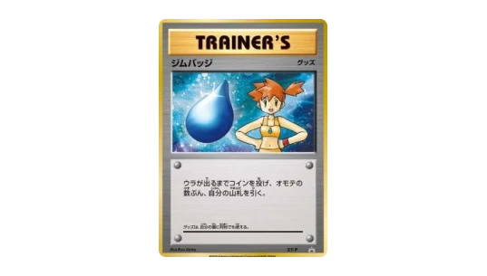 Gym Badge V-10 (XY-P)