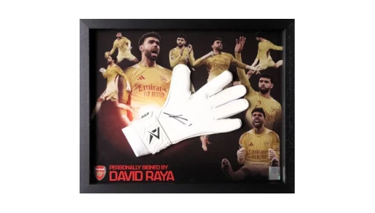 25/26 Raya Framed Signed Glove