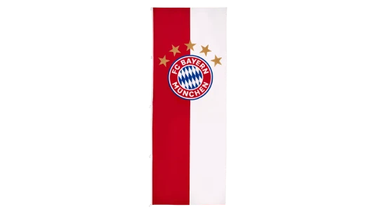 Vertical flag with logo 400x150 cm - Multicolor