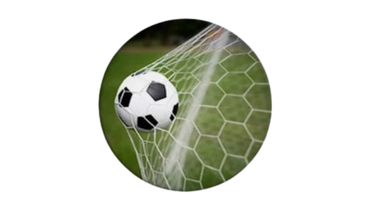 Goal Fridge Magnet