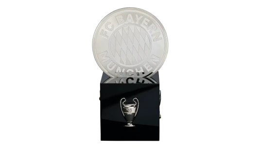 Acrylic Block Trophy With Logo Coin