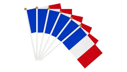 French Hand Held Flags 15 Pcs