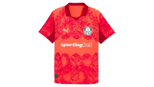 Palmeiras X Kidsuper Puma Goalkeeper Jersey Box Set, Player Size 25/26
