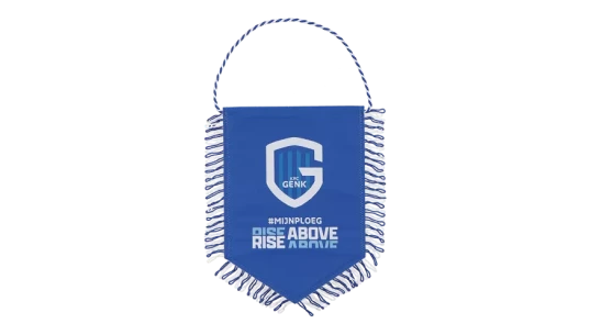 Banner Rise Above (Large) - Blue