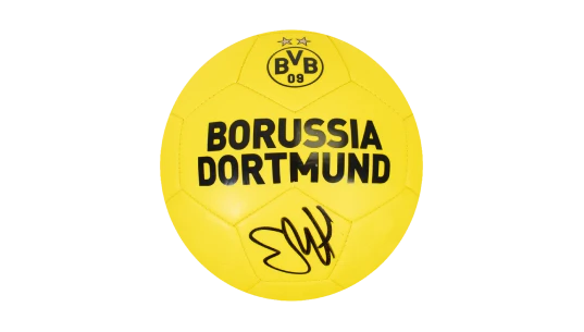 Erling Haaland Signed Branded Football - Yellow/Black
