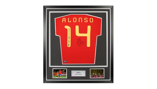 Xabi Alonso Back Signed Spain 2010 Home Shirt 2010 World Cup Winner Inscription In Classic Frame