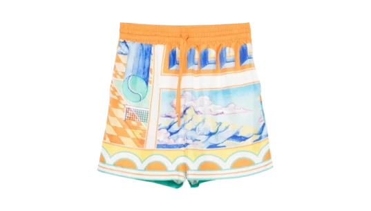 Surreal Pool Shorts - Multicolor