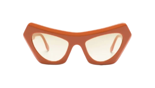 Devil's Pool Cat-Eye Frame Sunglasses - Pumpkin Orange