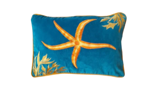 Starfish Embroidered Cushion - Blue/Multicolor
