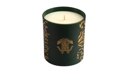 Wild Jungle Scented Candle 220g