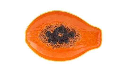 Papaya Platter - Multicolor