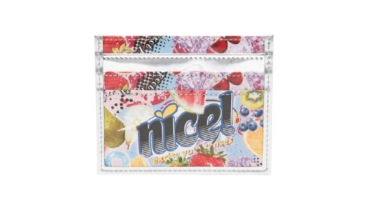Fruit-Print Logo-Print Card Holder - Blue/Multicolor