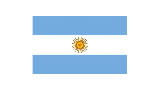 Flag of Argentina 90x150cm (10 Pack)