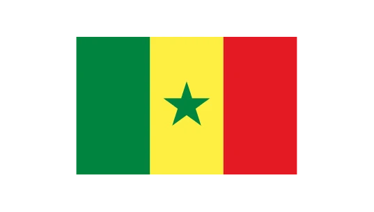 Flag of Senegal 300x450cm