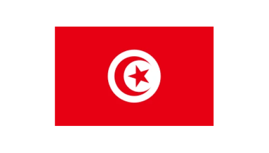 Flag of Tunisia 120x180cm