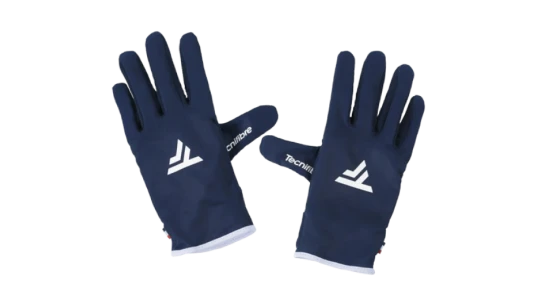 Polar Gloves