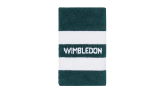 Large Stripe Sweatband - Green & White