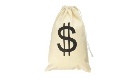 Money Bag Pouch with Drawstring Closure - Beige/Black
