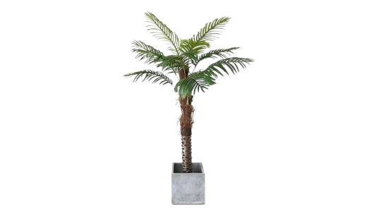 Artificial Palm Tree 160cm