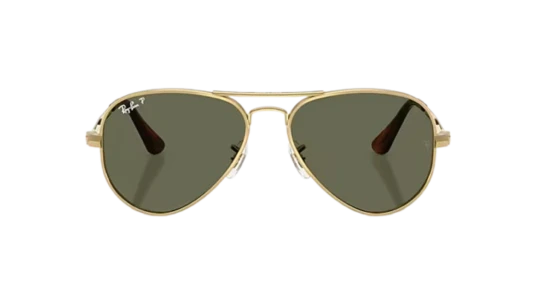 Aviator Max - Polished Arista Gold/Green Polarized