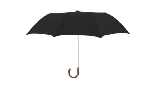 Chestnut Collapsible Umbrella - Black