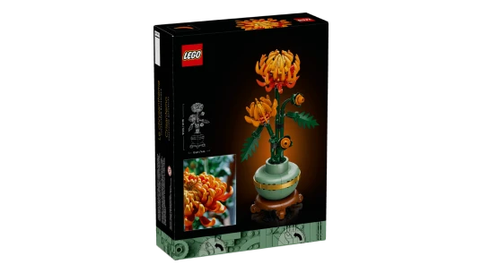 Chrysanthemum - 10368
