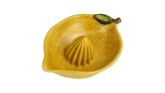 Countryside Citrus Stoneware Lemon Juicer