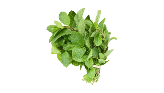 Fresh Mint Leaves 85g