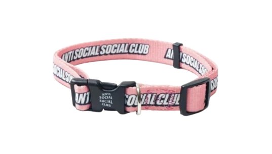 Detached Dog Leash & Collar Set - Pink