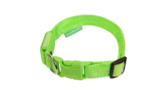 LED Dog Collar USB Rechargeable - Neon Green