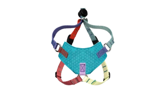 Escape Proof Cat Harness & Leash Set
