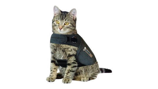 Classic Cat Anxiety Jacket - Heather Gray