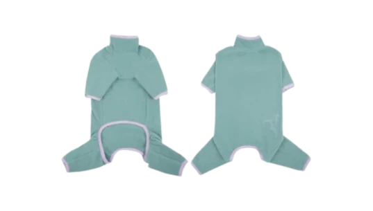 Cat Sweater - Green/Purple