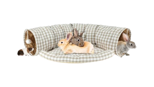 Bunny Tunnel Bed