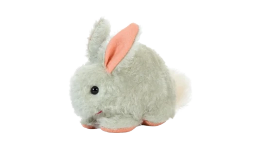 Sitting Rabbit