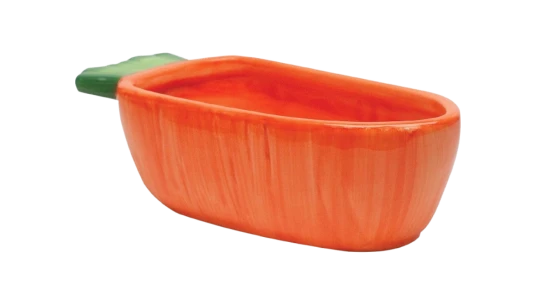Vege-T-Bowl Carrot - Orange/Green