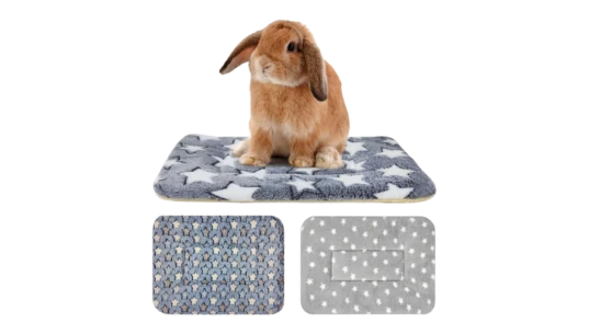 Soft Bunny Bedding Set Of 3