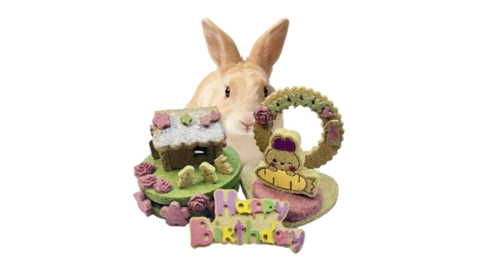 Natural Timothy Hay Birthday Cake for Rabbit