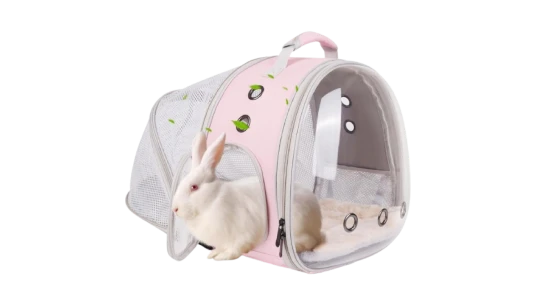 Back Expandable Backpack For Bunnies - Clear/Pink