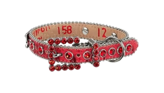 Studded Dog Collar - Red/White
