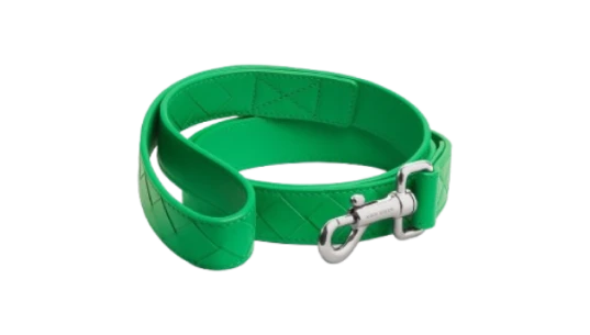 Medium Intrecciato Dog Leash - Parakeet