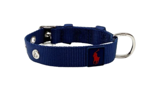 Nylon Polo Pony Pet Collar - Fall Royal/Red