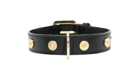Studded Leather Pet Collar - Black