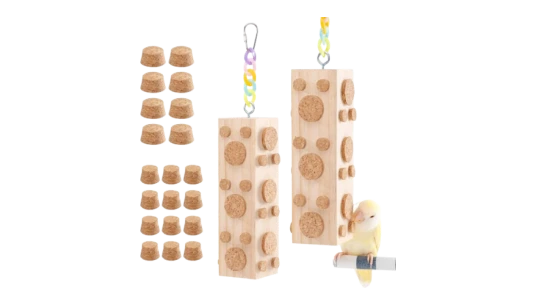 Wooden Bird Chew Toys Set Of 2